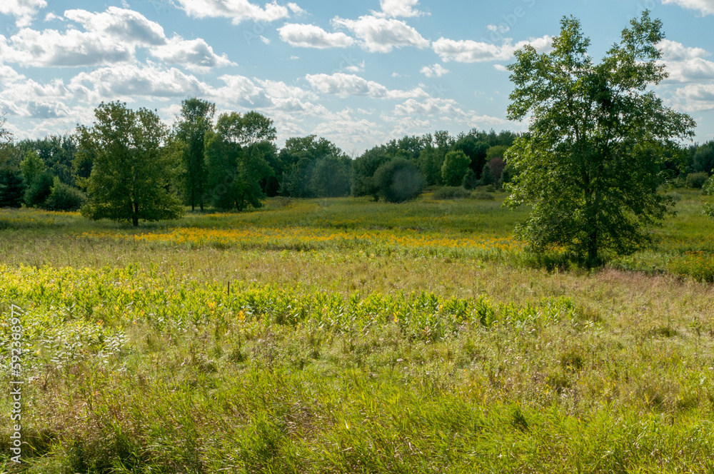 Prairie Planting At UWGB Cofrin Memorial Arboretum, Green Bay, Wisconsin