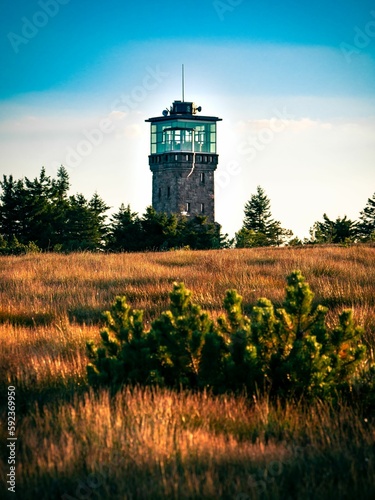 Beautiful view of an Observation deck with trees in a field during sunrise photo