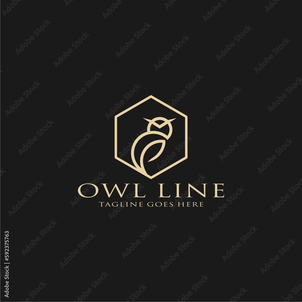 A line art owl logo in a hexagon frame A line art owl logo in a hexagon frame