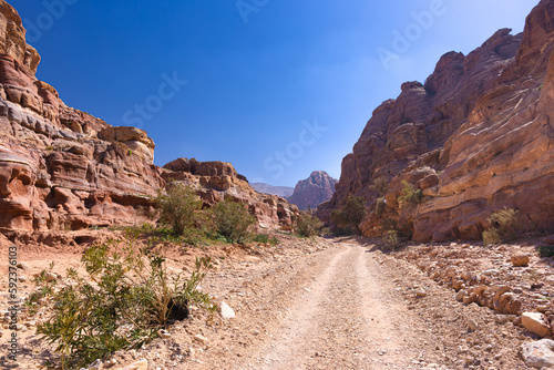 Petra w Jordanii. Kamienista droga między skalnymi, pustynnymi górami.