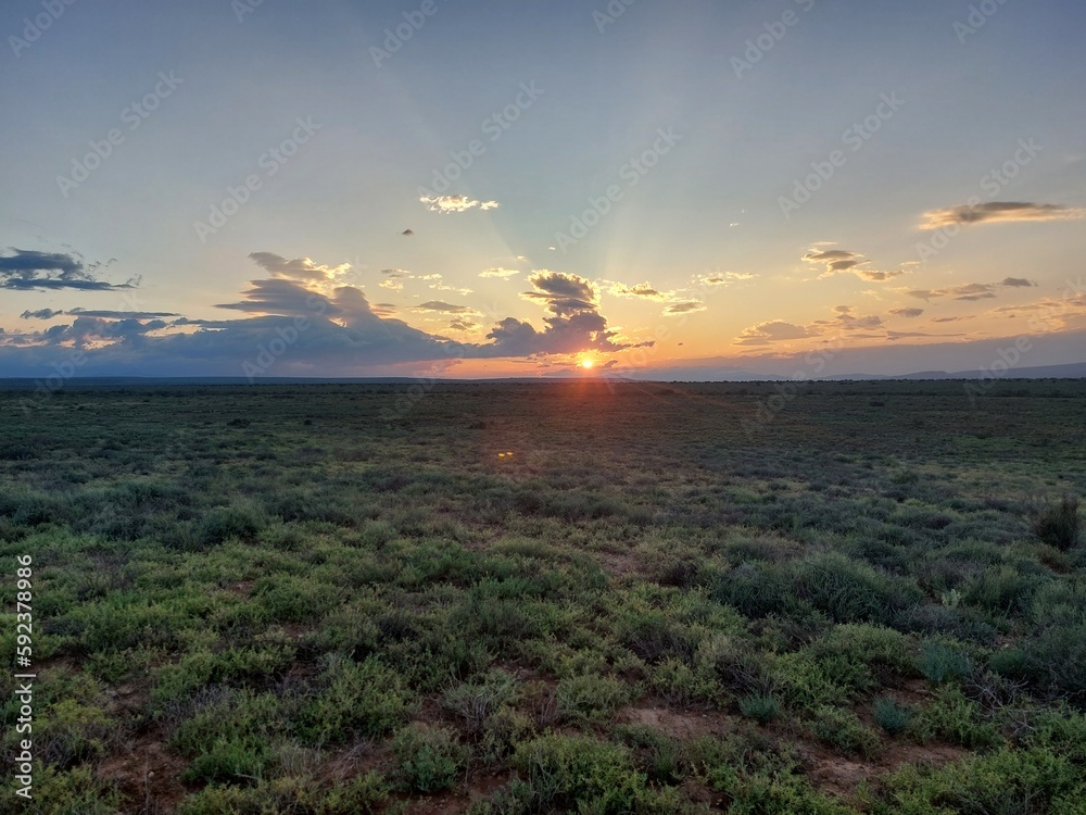 Obraz premium Landschaft in der kleinen Karoo bei Oudtshoorn
