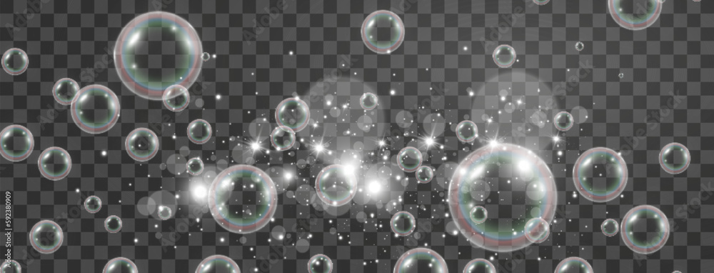 Air soap bubbles on a transparent background .Vector illustration of bulbs.
Air soap bubbles on a transparent background .Vector illustration of bulbs.