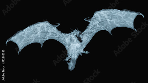 dragon is attacking on white background front view