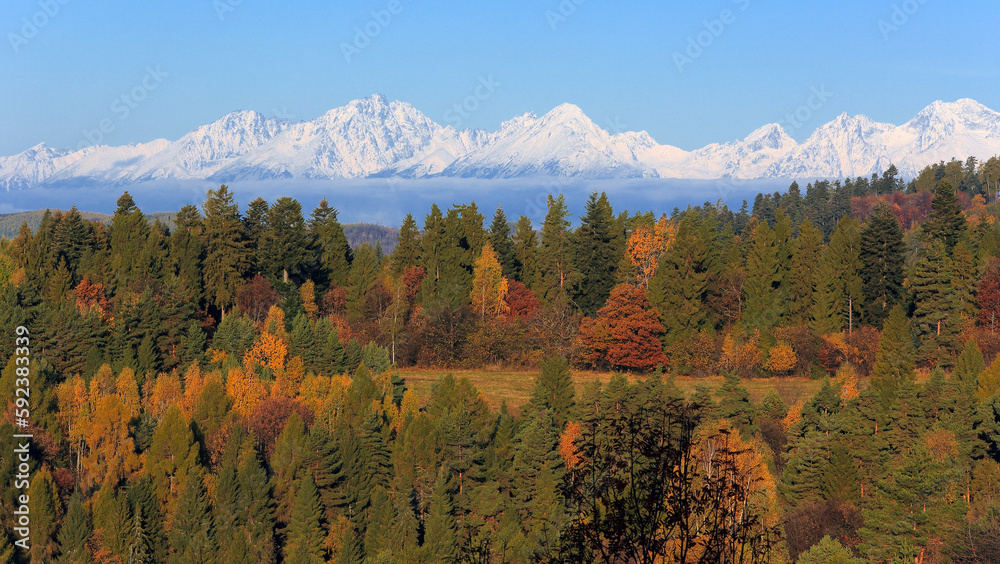 Slovakia ,High Tatras , pleso, lake, forest,