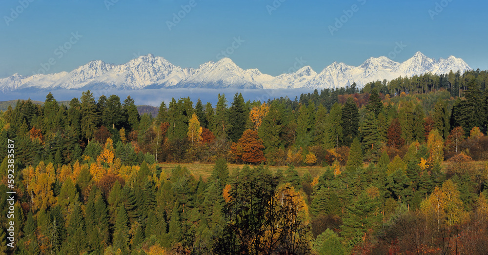 Slovakia ,High Tatras , pleso, lake, forest,