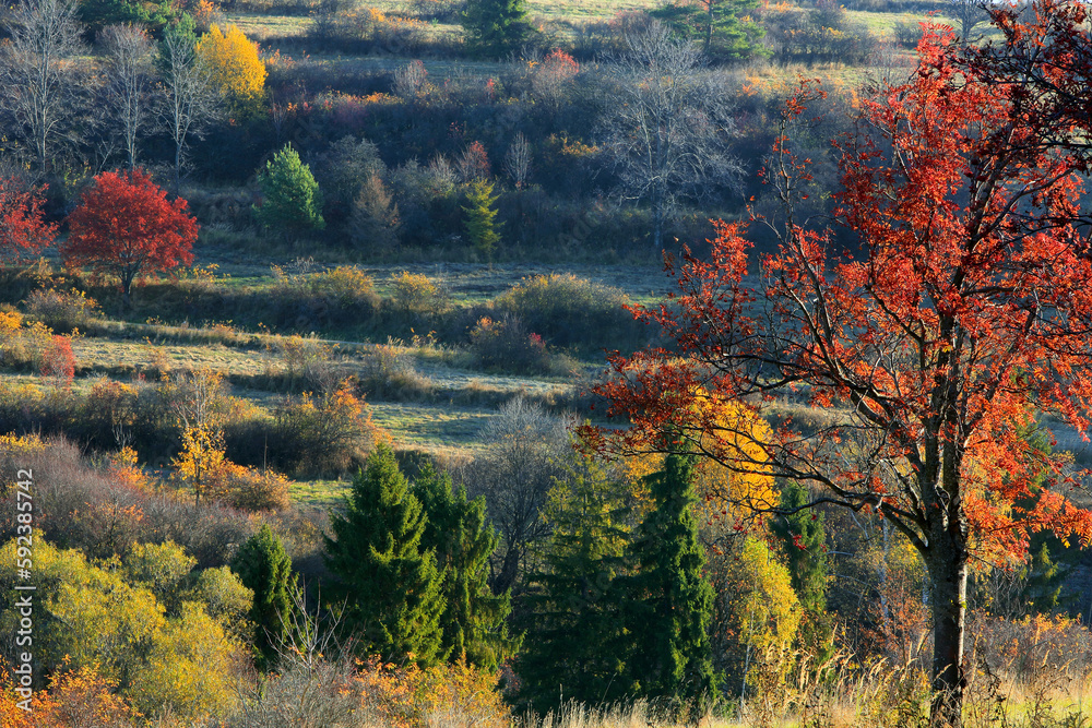 Autumn view on High Tatras mountains national park in Slovakia