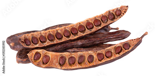 Ripe carob pods and bean isolated on white background.