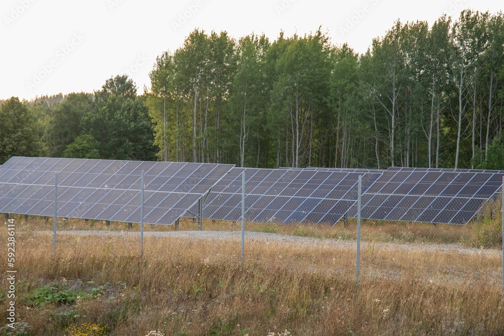 Solar energy panels in a field under sunlight at sunset, concept of sustainability Solar energy panels in a field under sunlight at sunset, concept of sustainability