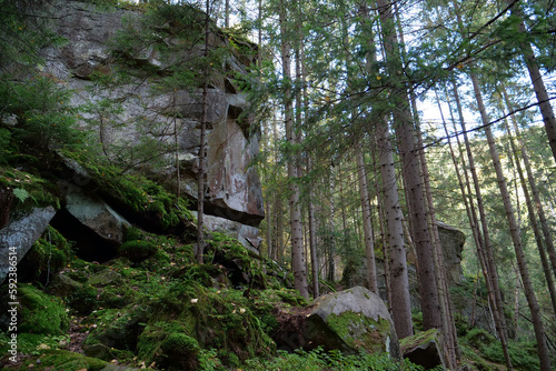 Dovbush Rocks in the forest near Yaremche city, Ukraine photo