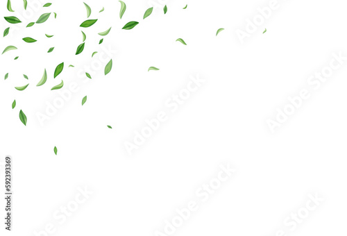 Forest Greens Motion Vector White Background