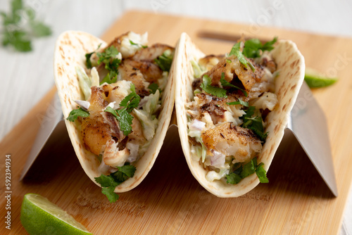 Homemade Fresh Fish Tacos, low angle view. Close-up.