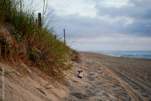 Fototapeta Naklejka Na Ścianę i Meble -  Morning dawn at the beach with seagrass and ocean