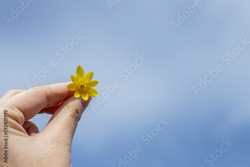 flower in hand