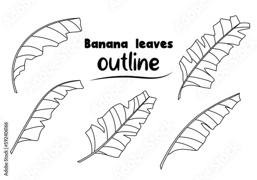 Set of banana leaves outlines. Hand drawn tropical leaves vector design elements for coloring pages, laser cutting or illustration isolated on white background
