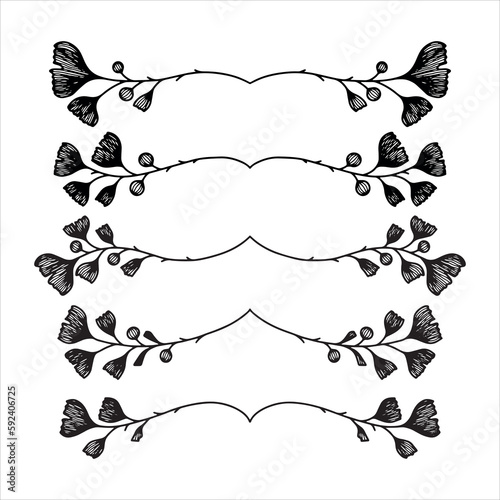 Hand drawn ginkgo biloba text divider. Set of five floral text dividers. 