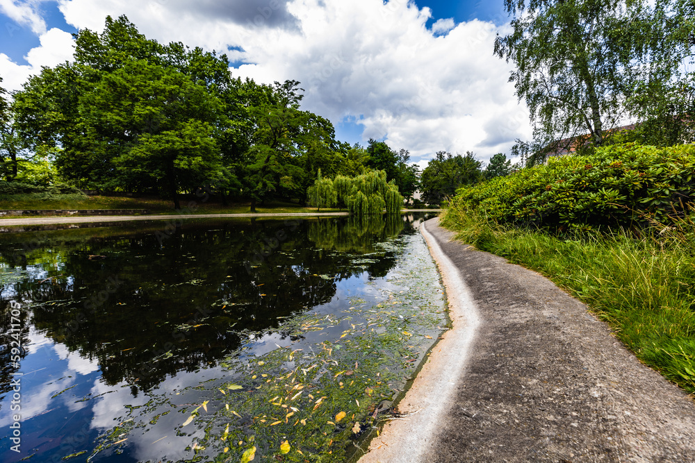 A large pond where trees and sky are reflected in a city park full of green trees and bushes on a sunny day A large pond where trees and sky are reflected in a city park full of green trees and bushes on a sunny day
