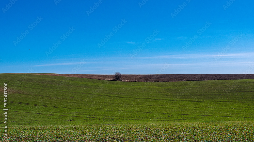 landscape, sky, grass, field, green, nature, meadow, summer, blue, rural, cloud, clouds, spring, farm, hill, horizon, countryside, country, tree, agriculture, land, panorama, beautiful, outdoor, view landscape, sky, grass, field, green, nature, meadow, summer, blue, rural, cloud, clouds, spring, farm, hill, horizon, countryside, country, tree, agriculture, land, panorama, beautiful, outdoor, view