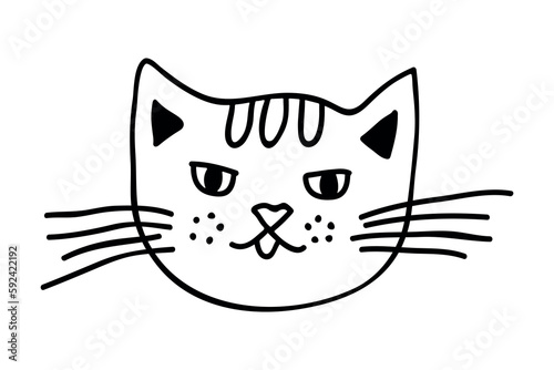 Hand drawn cat muzzle clipart. Cute pet face doodle