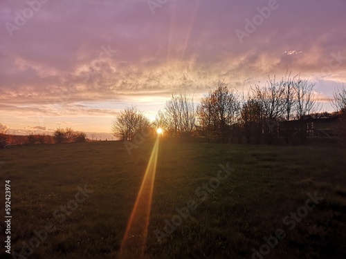 sunset in the field