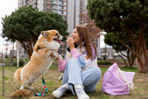 a cute young girl is playing with her corgi dog sitting on the grass in a park on the street. Walking the dog, lifestyle