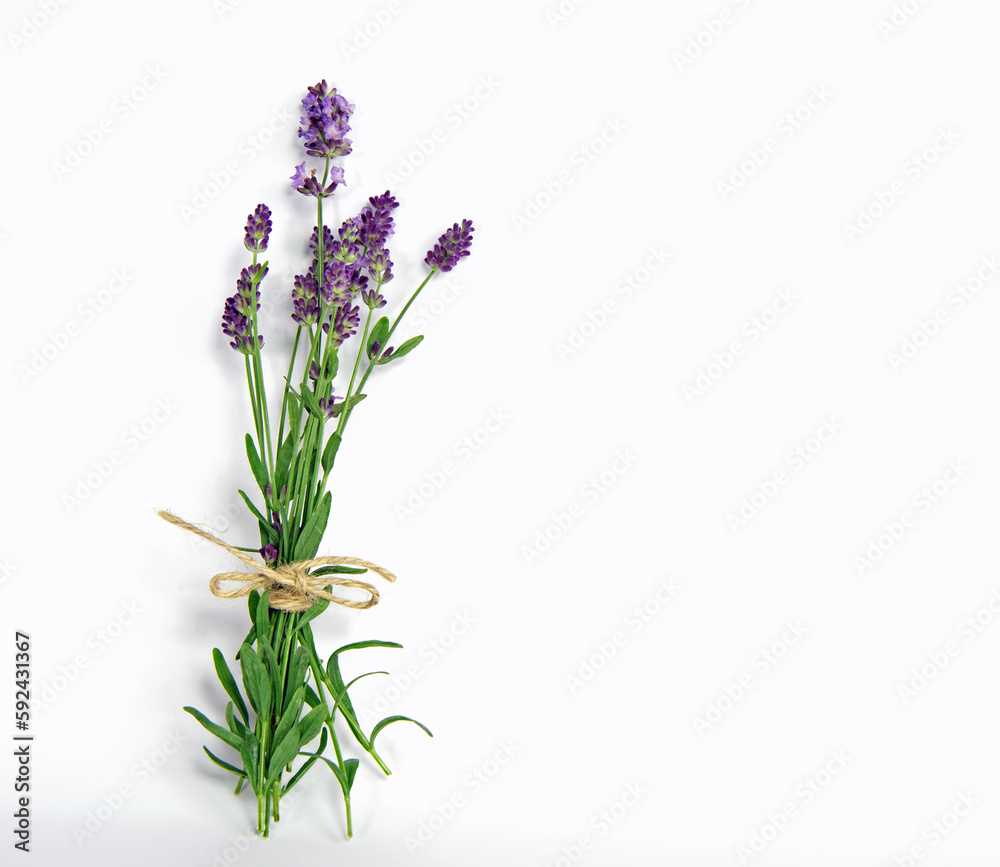 Naklejka premium Bunch of lavender flowers isolated on white background