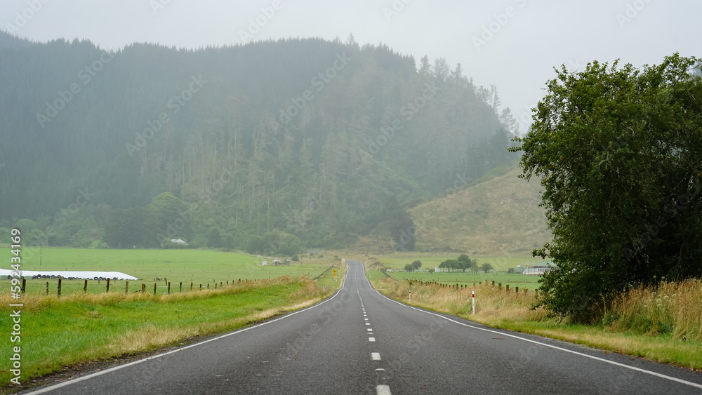 The Te Urewera Rainforest Route in the North Island of New Zealand