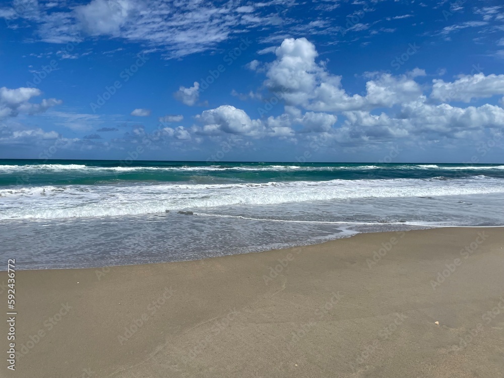 Fototapeta premium waves on the beach