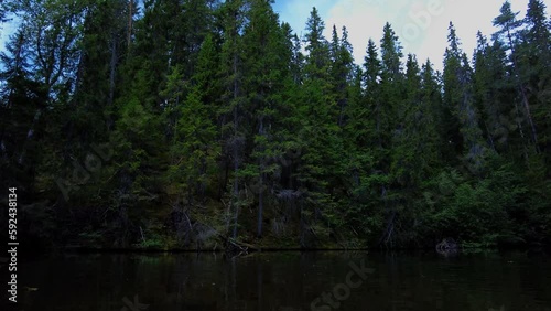 Small forest lake in the summer daylight in the Swedish nature wilderness with evergreen coniferous trees. Styggforsen nature reserve. Panning shot low angle view photo
