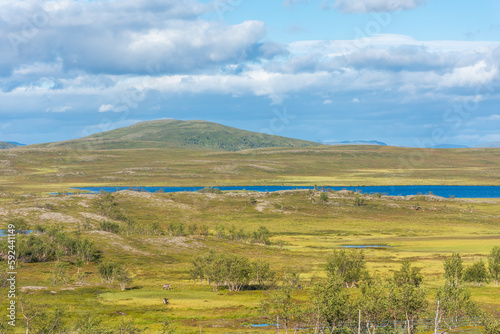 Landscape of the tundra with a lake in the Finnmark province of Norway