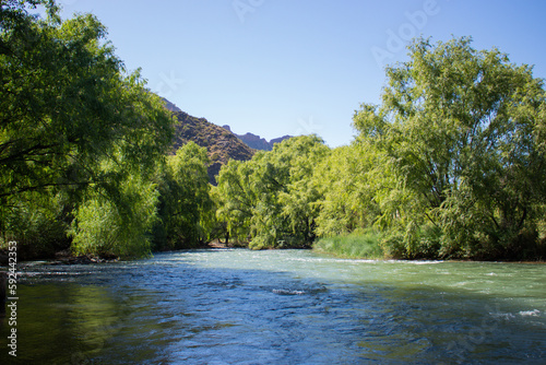 Rio Atuel rodeado de arboles verdes
 photo