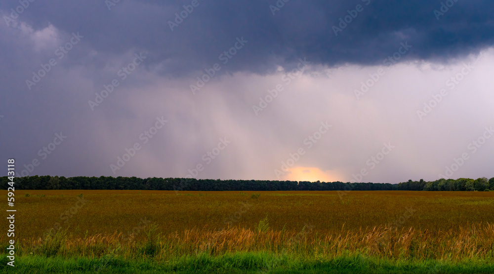 background with thundercloud over the field background with thundercloud over the field