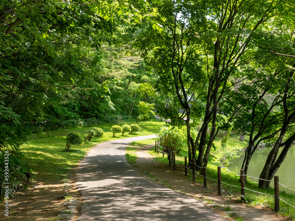 春の月寒公園（北海道札幌市豊平区）