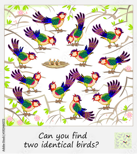 Logic puzzle for children and adults. Can you find two identical birds? Page for kids brain teaser book. Task for attentiveness.  IQ test. Play online. Vector cartoon illustration.