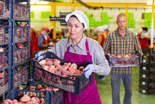 Woman holding box full of peaches. Man carrying box full of peaches nearby. photo