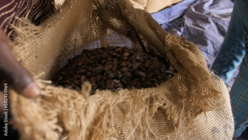A farmer fills a bag of cocoa beans at the cooperative, in Ivory Coast