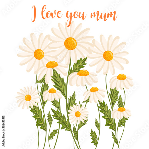 Fototapeta Naklejka Na Ścianę i Meble -  Mother's day greeting card. Several chamomile flowers grow. Botanical vector isolated illustration for postcard, poster, invitation, ad, decor, fabric and other uses. Festive text can be replaced.