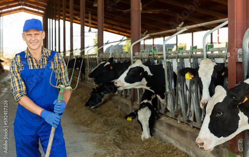 Successful man dairy farm owner standing in stall on background with herd of cows