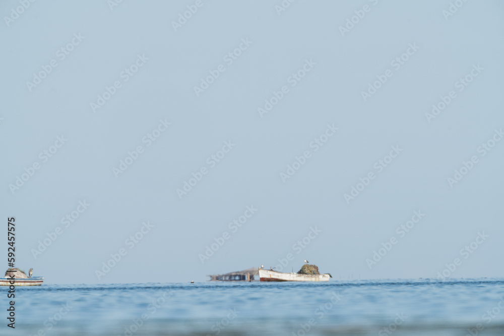 Obraz premium View of Djerba, a large island in southern Tunisia