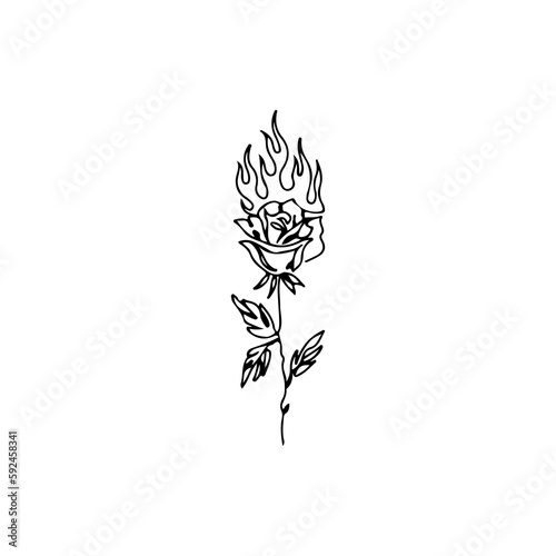 vector illustration of a rose with fire concept