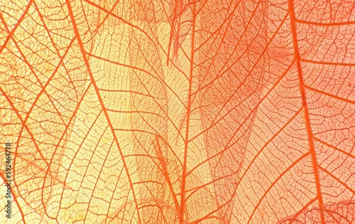 Illustration of a yellow orange background with leaf patterns with effects