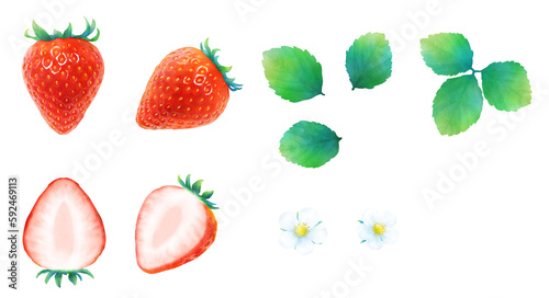 Fototapeta Naklejka Na Ścianę i Meble -  熟した赤いイチゴと葉と花の水彩イラストのセット_新鮮で甘いかわいいフルーツ