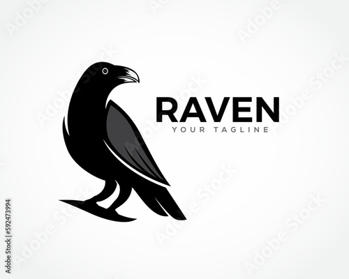 elegant stand raven bird logo symbol design template illustration inspiration