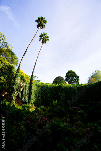 Umpherston Sinkhole - Mount Gambier - Australia photo