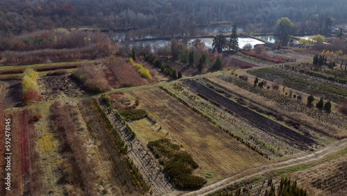 Plant nursery in autumn. Top view. Flying over plants of different varieties in beds in plant nursery on sunny autumn day. Growing and cultivating different plants and trees. Aerial drone view