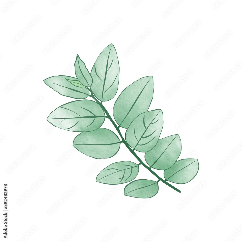 watercolor leaves illustration clipart watercolor leaves illustration clipart