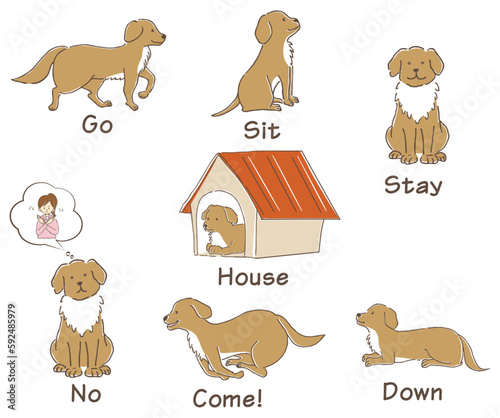 ペットの大型犬のトレーニングに使用する基本合図（コマンド）セット