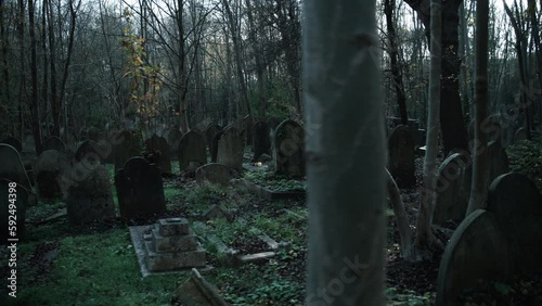 Endless graves in an English forest graveyard photo