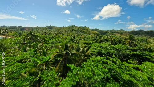 VIDEO FPV BEACH  5K SAMANA REPUBLICA DOMINICANA  VIDEO CON DRONE FPV EN 5K PLAYA RINCON  photo