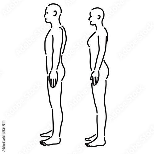 男性と女性の裸体の人体を横から見たイラスト
