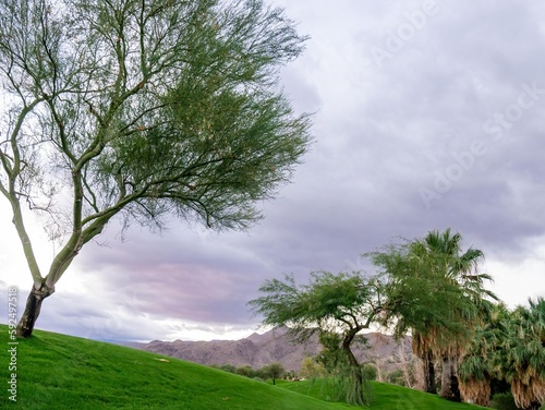 Desert golf course sunset